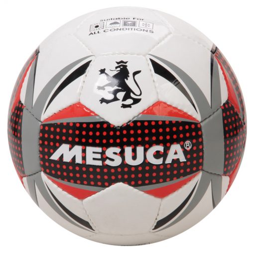 PELOTA DE FUTBOL Nº5 - ART MAB50106